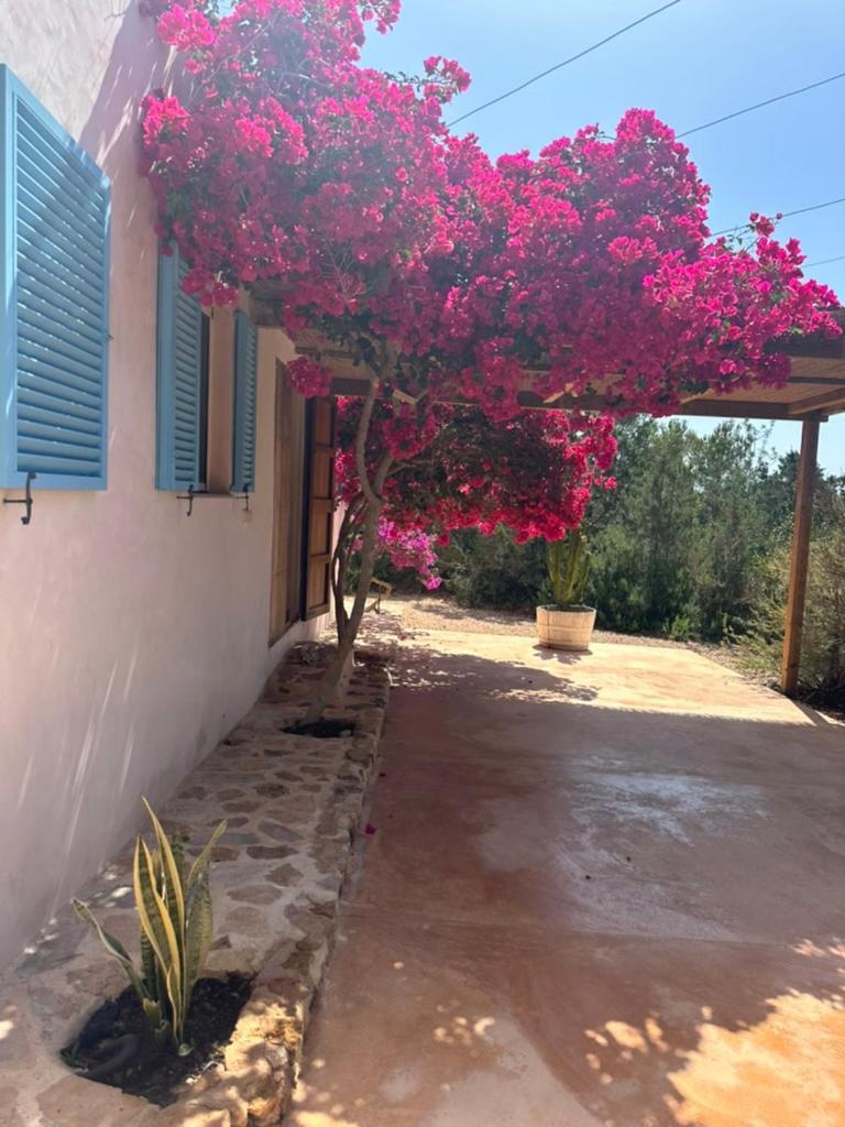 Casa Rustick Villa San Francisco Javier Eksteriør billede